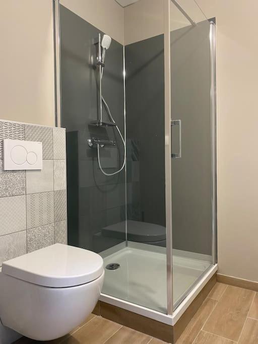 Appartement Proximite Centre Mulhouse Dış mekan fotoğraf